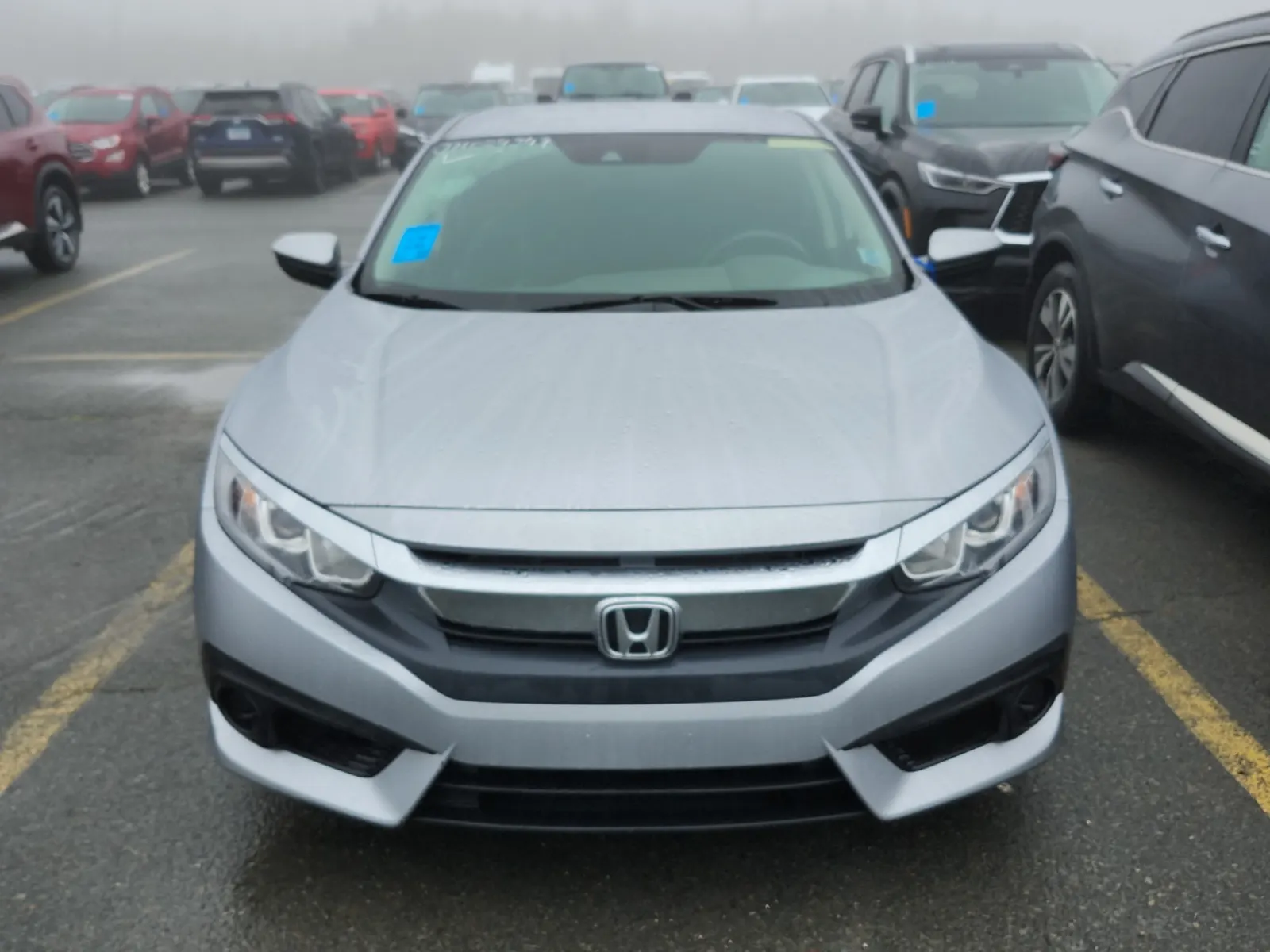 Full Front Photo