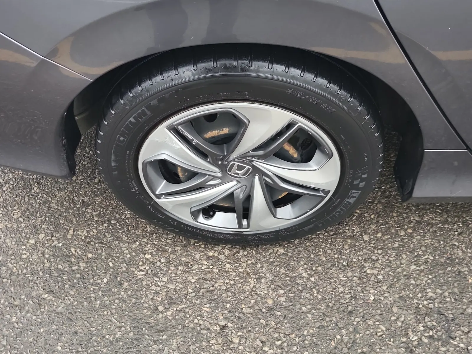 Right Rear Wheel/Tire Photo