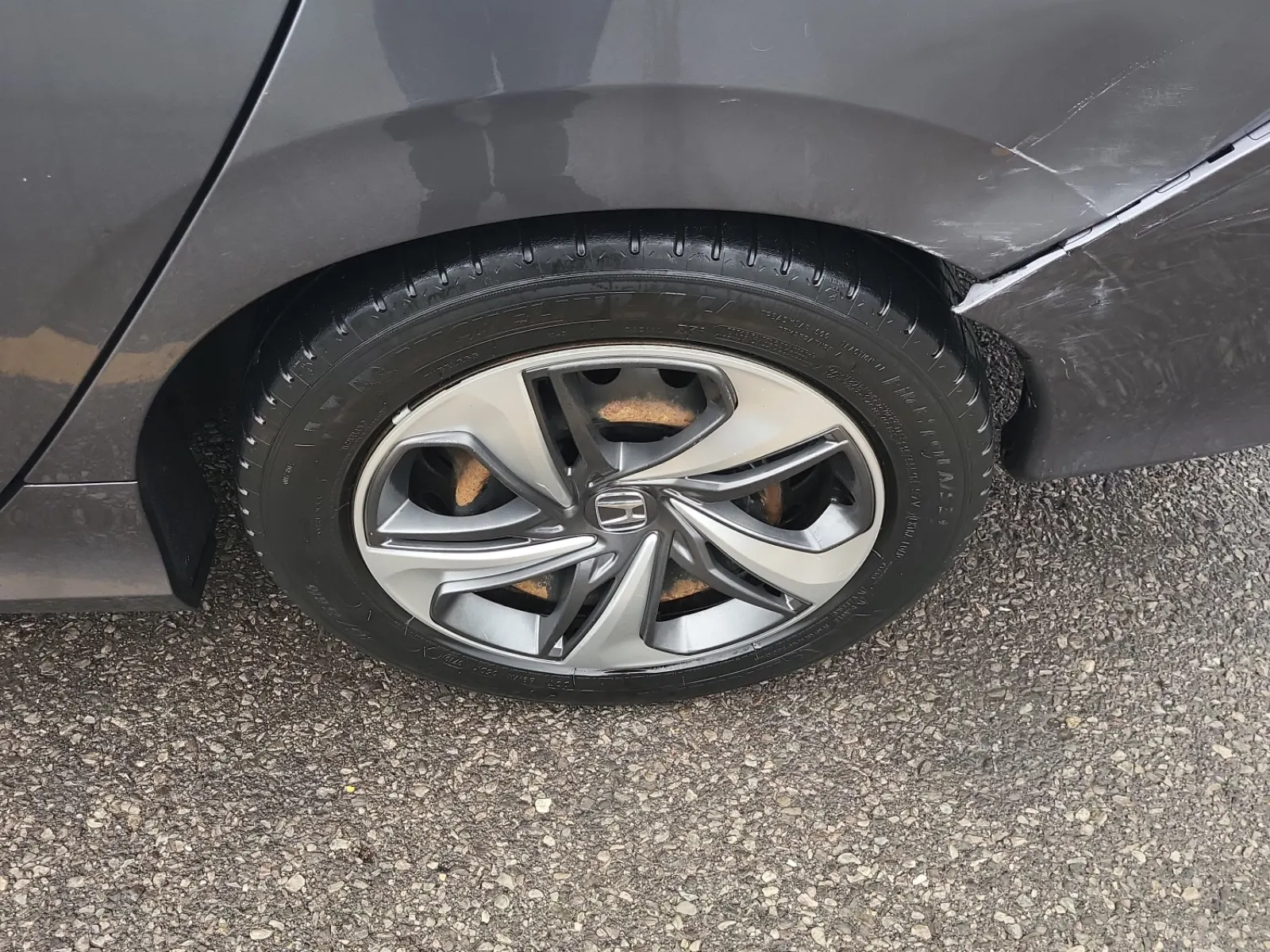 Left Rear Wheel/Tire Photo