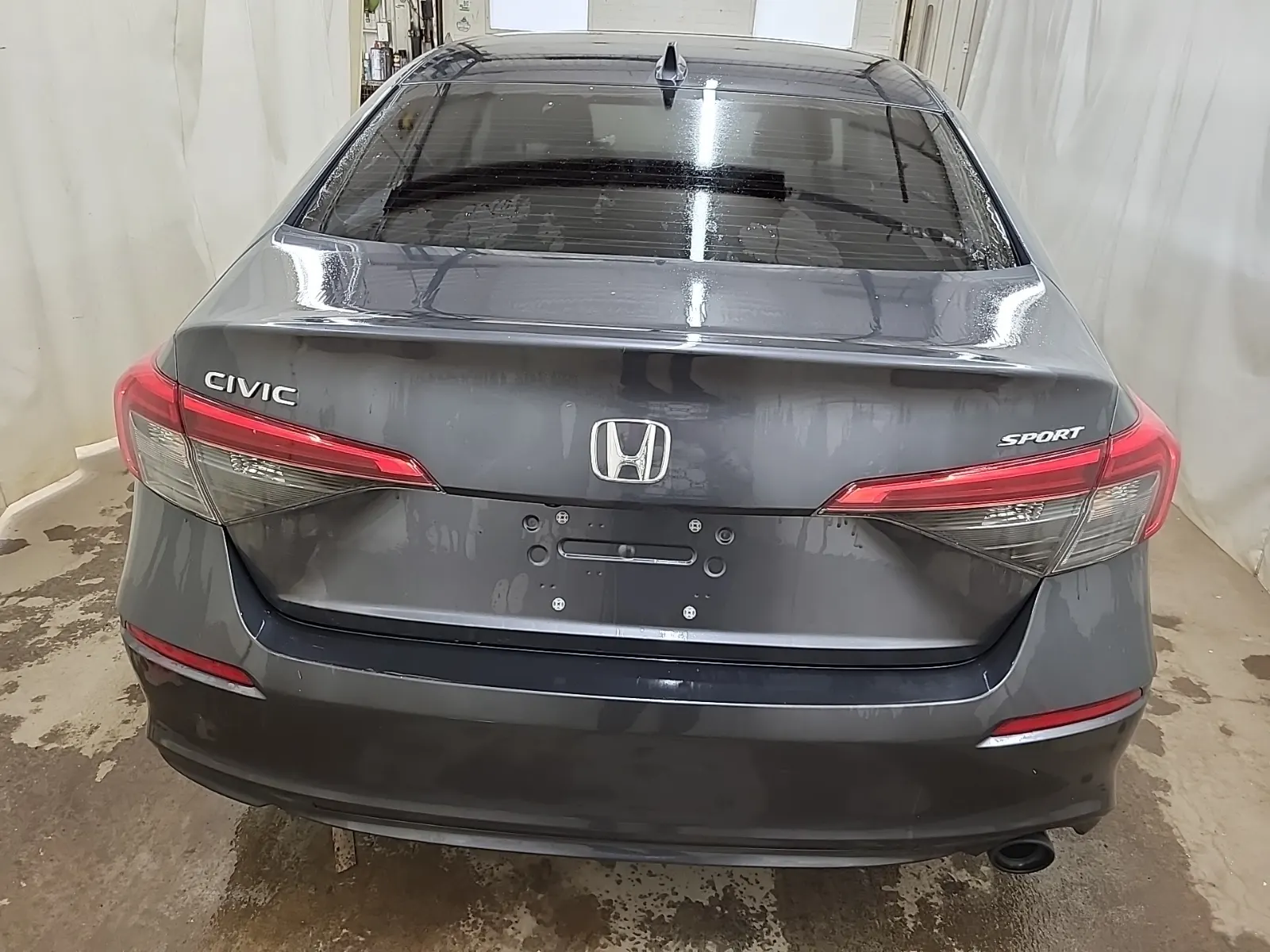 Full Rear Photo
