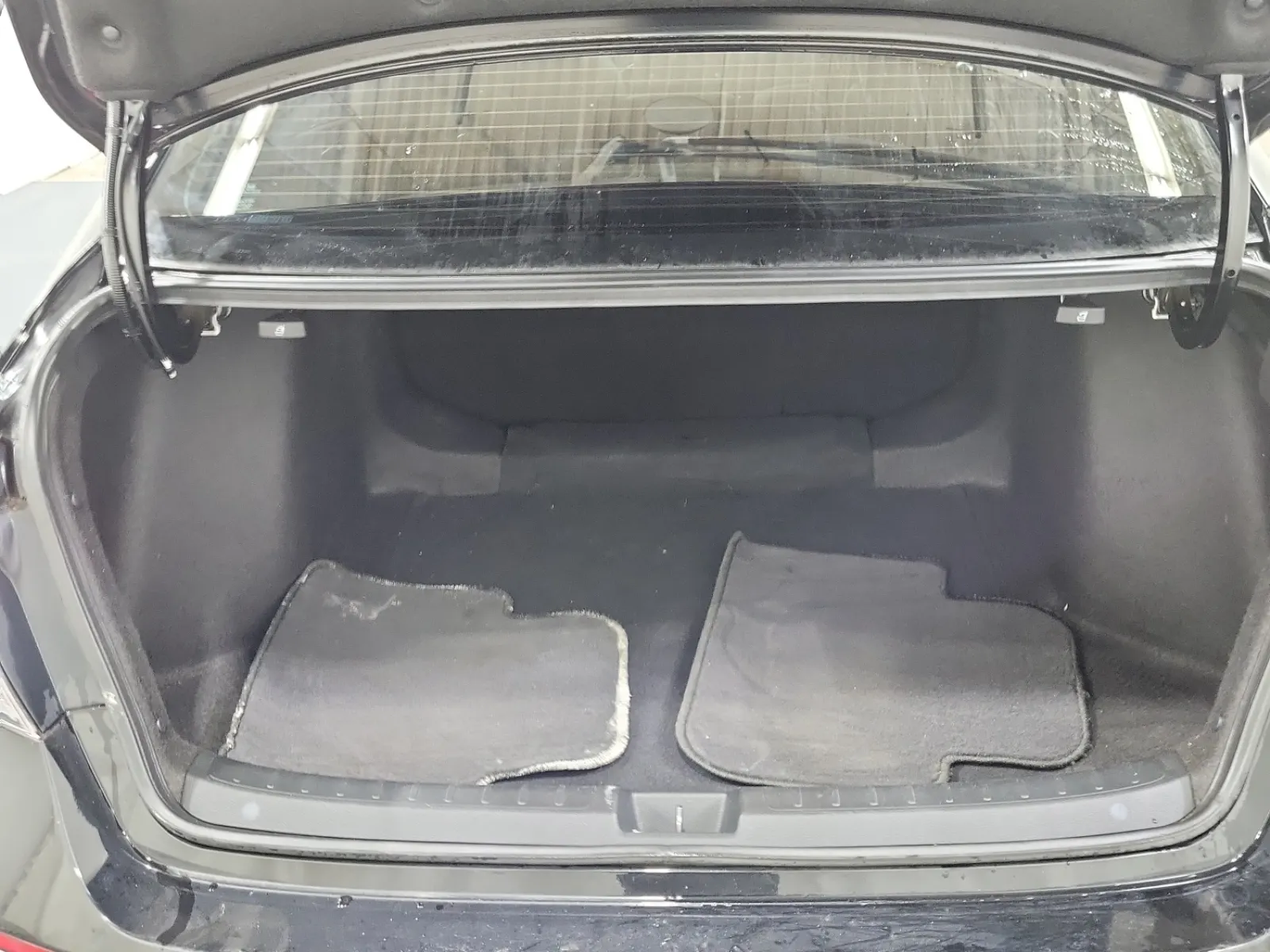 Cargo Area Photo