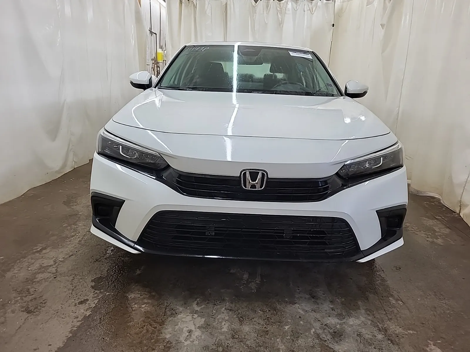 Full Front Photo