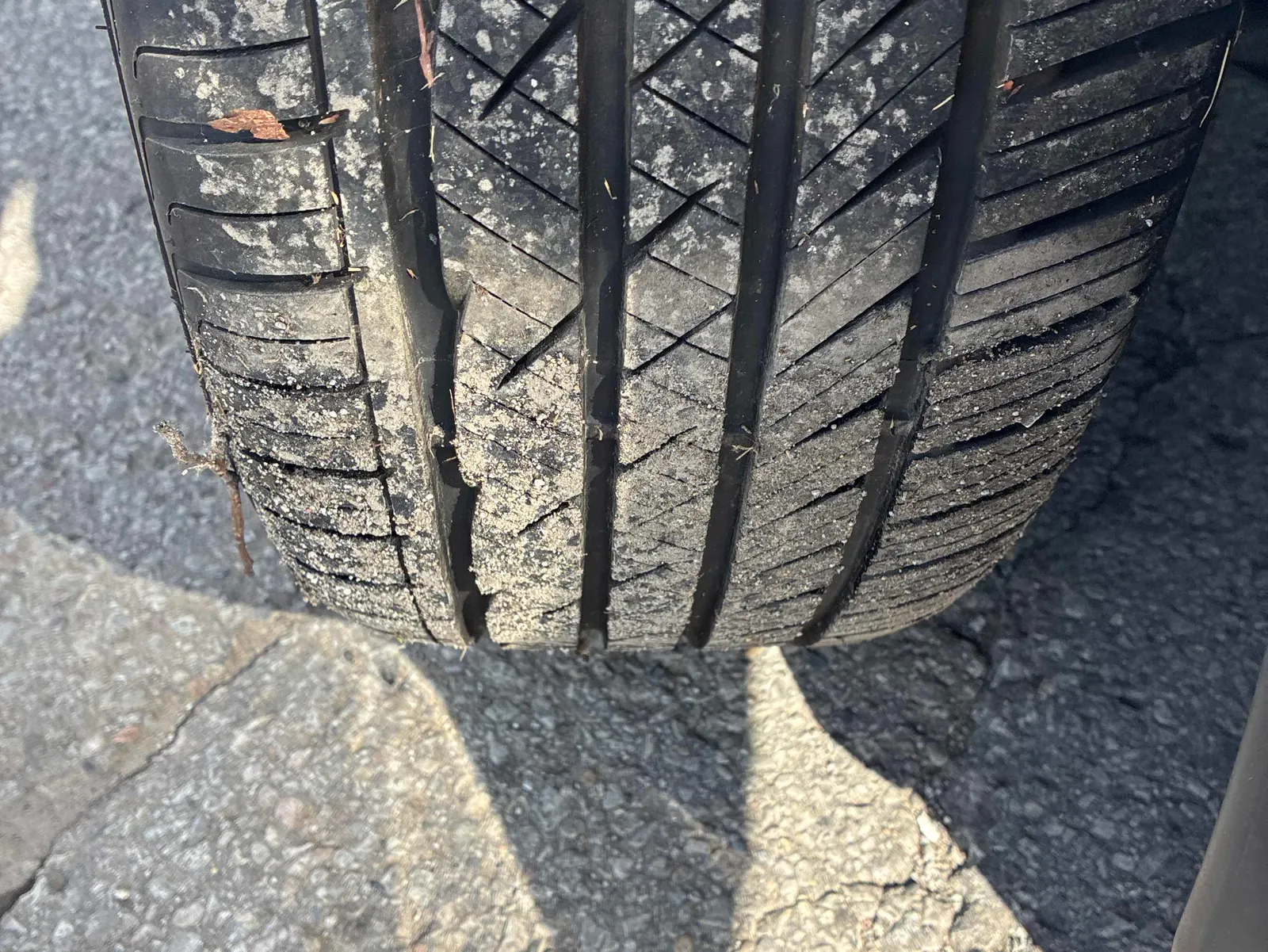 Additional Photo
