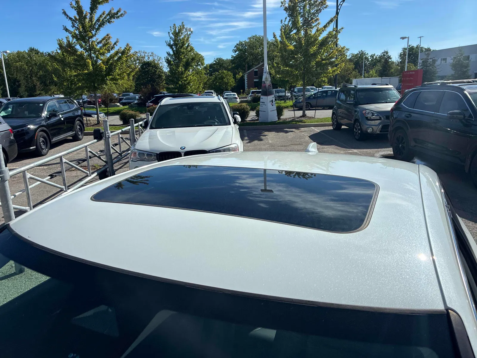 Additional Photo