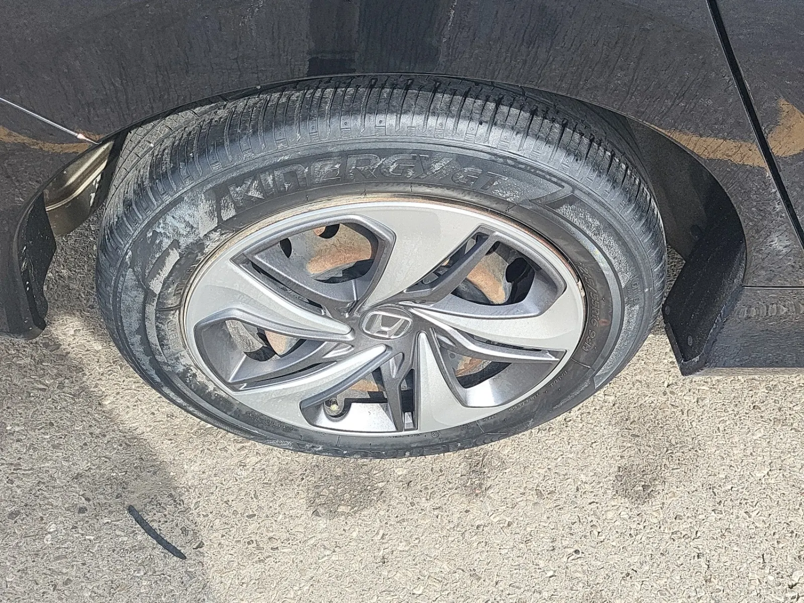 Right Rear Wheel/Tire Photo