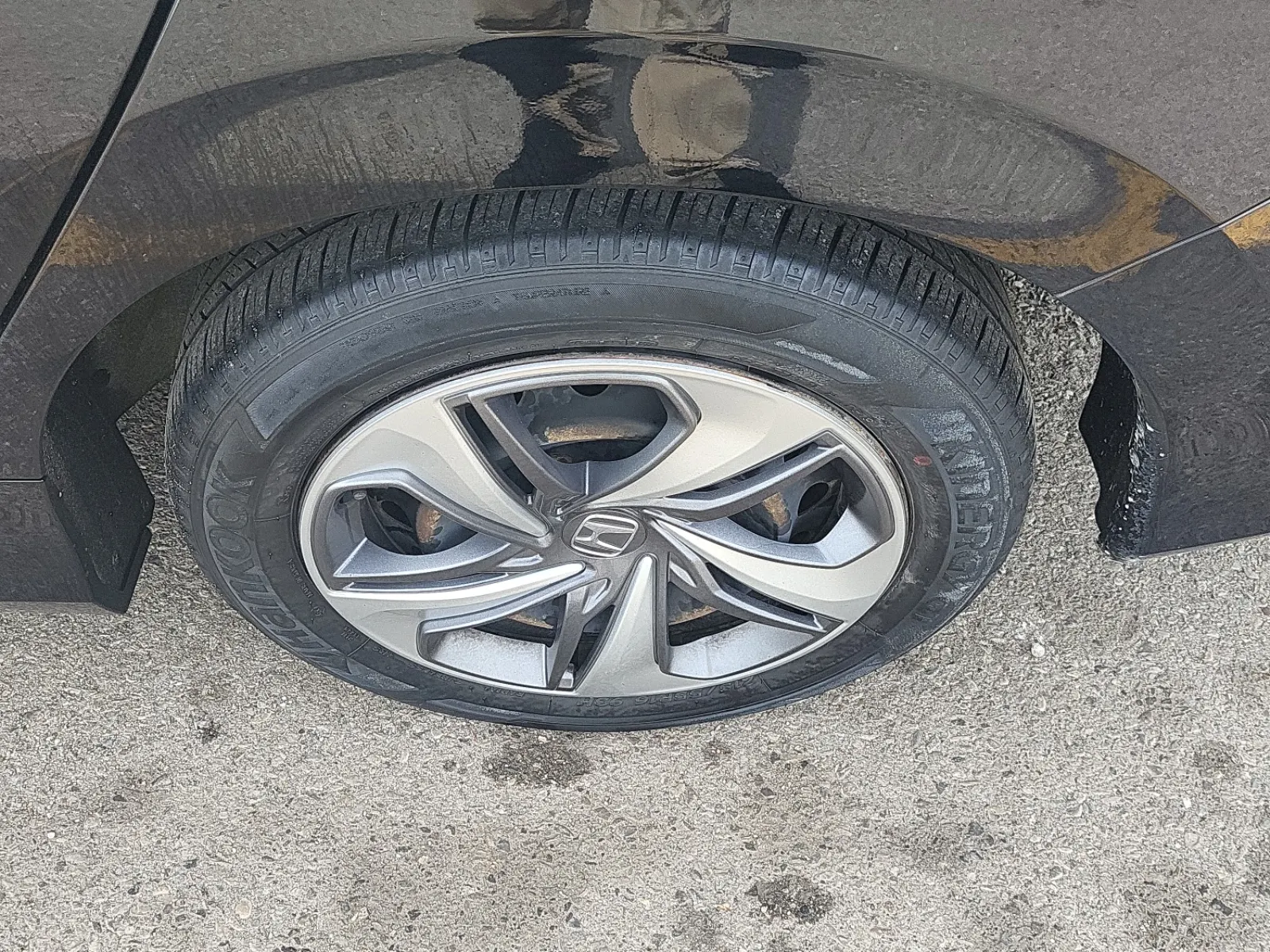 Left Rear Wheel/Tire Photo