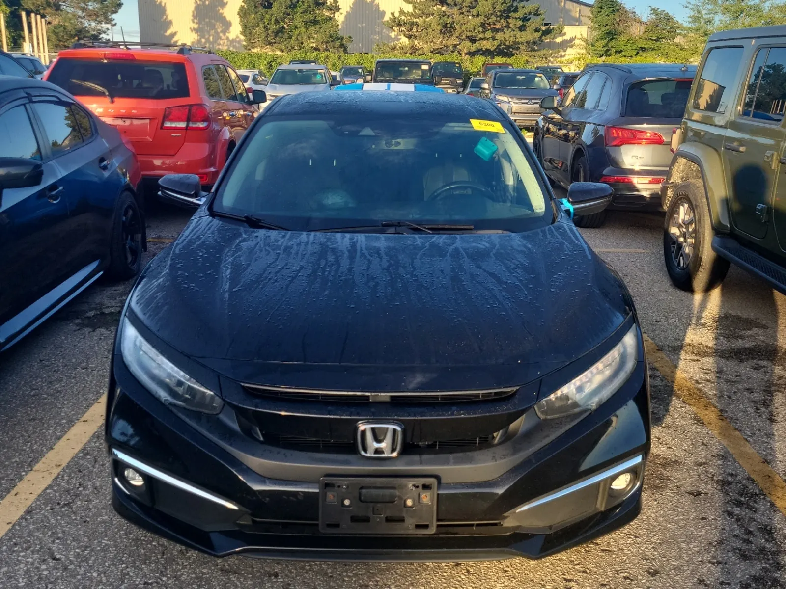 Full Front Photo