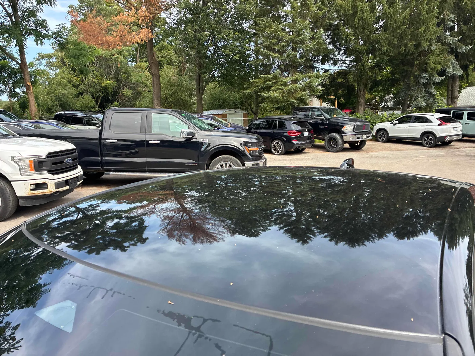 Additional Photo