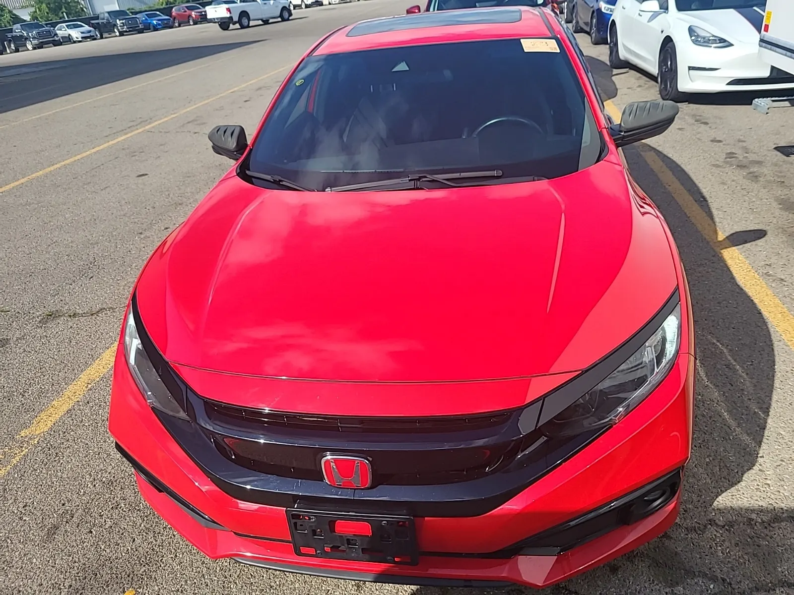 Full Front Photo