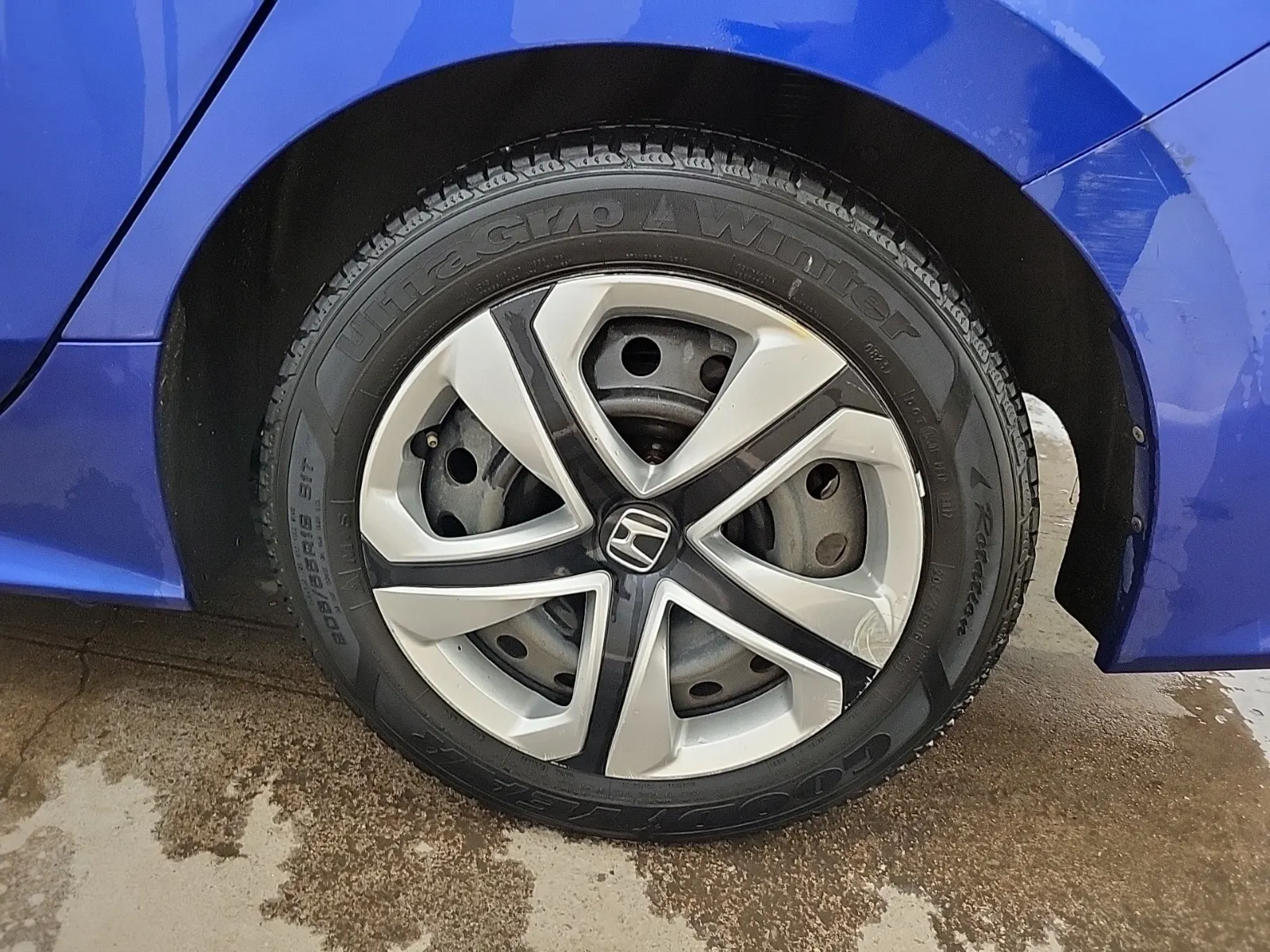 Left Rear Wheel/Tire Photo