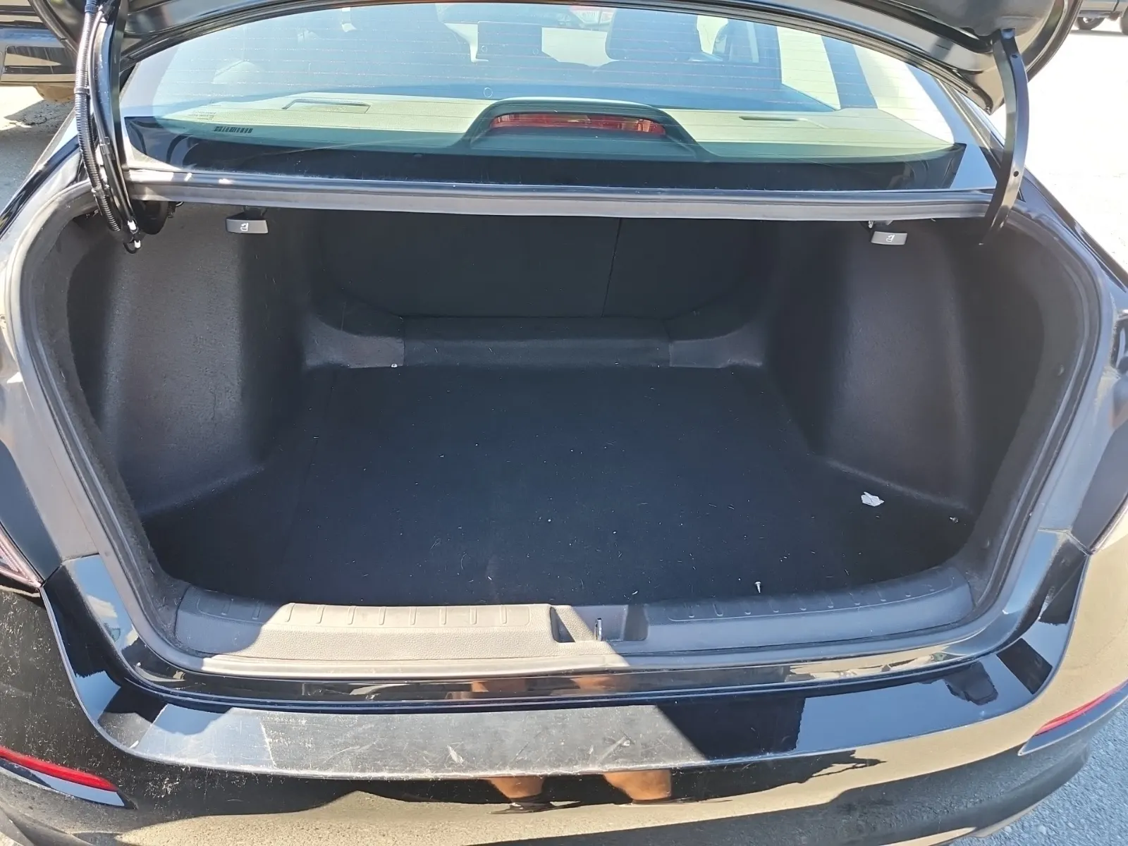 Cargo Area Photo