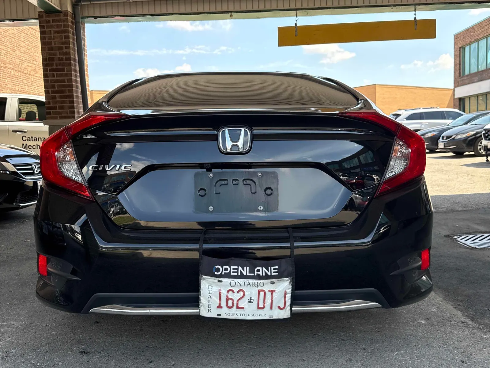 Back