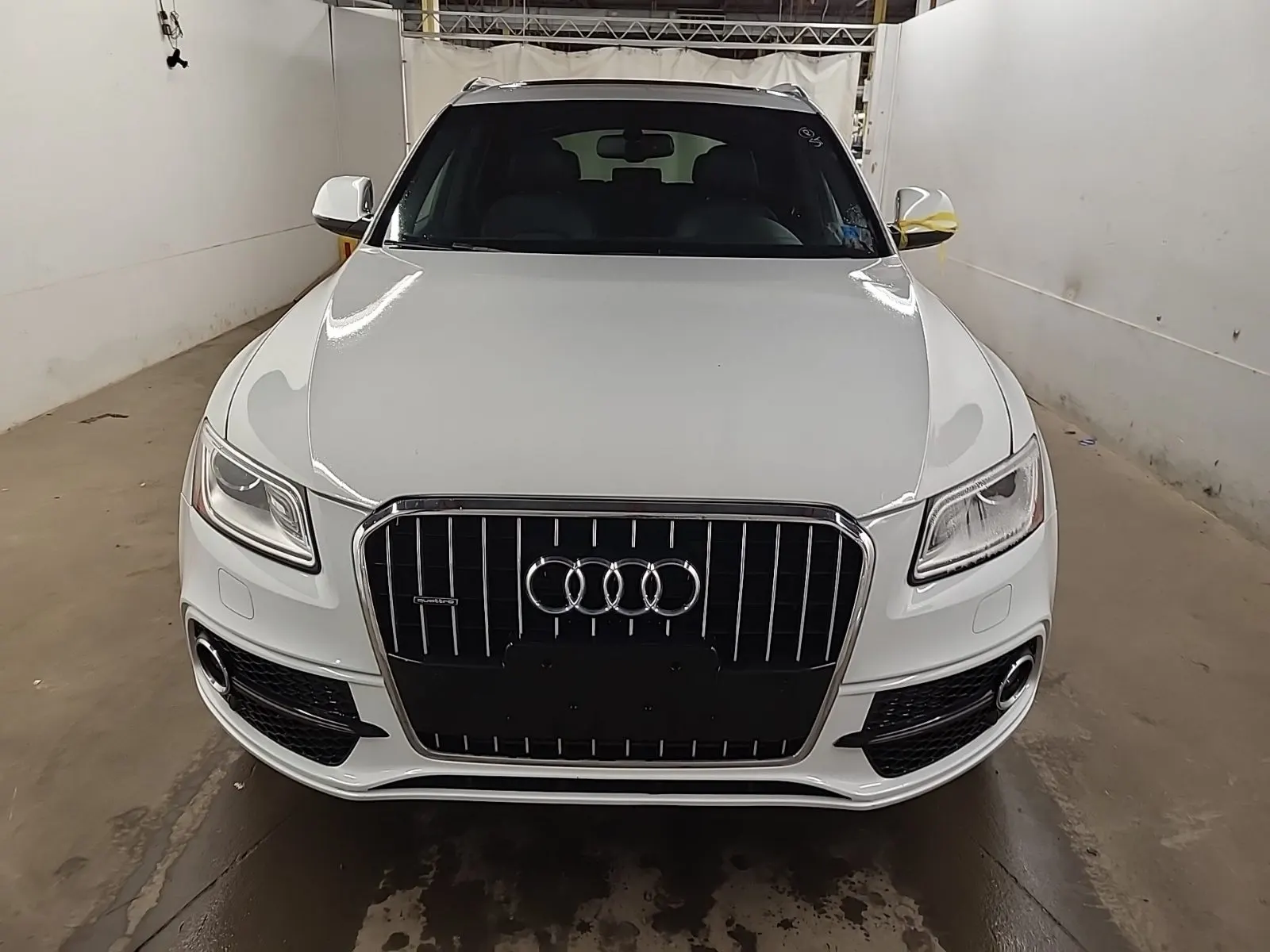 Full Front Photo
