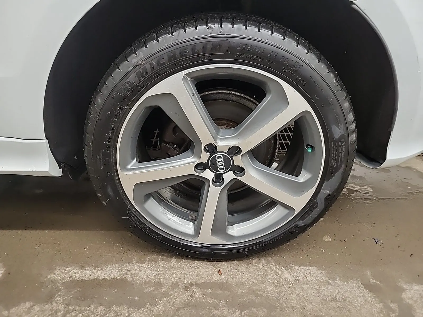 Left Rear Wheel/Tire Photo