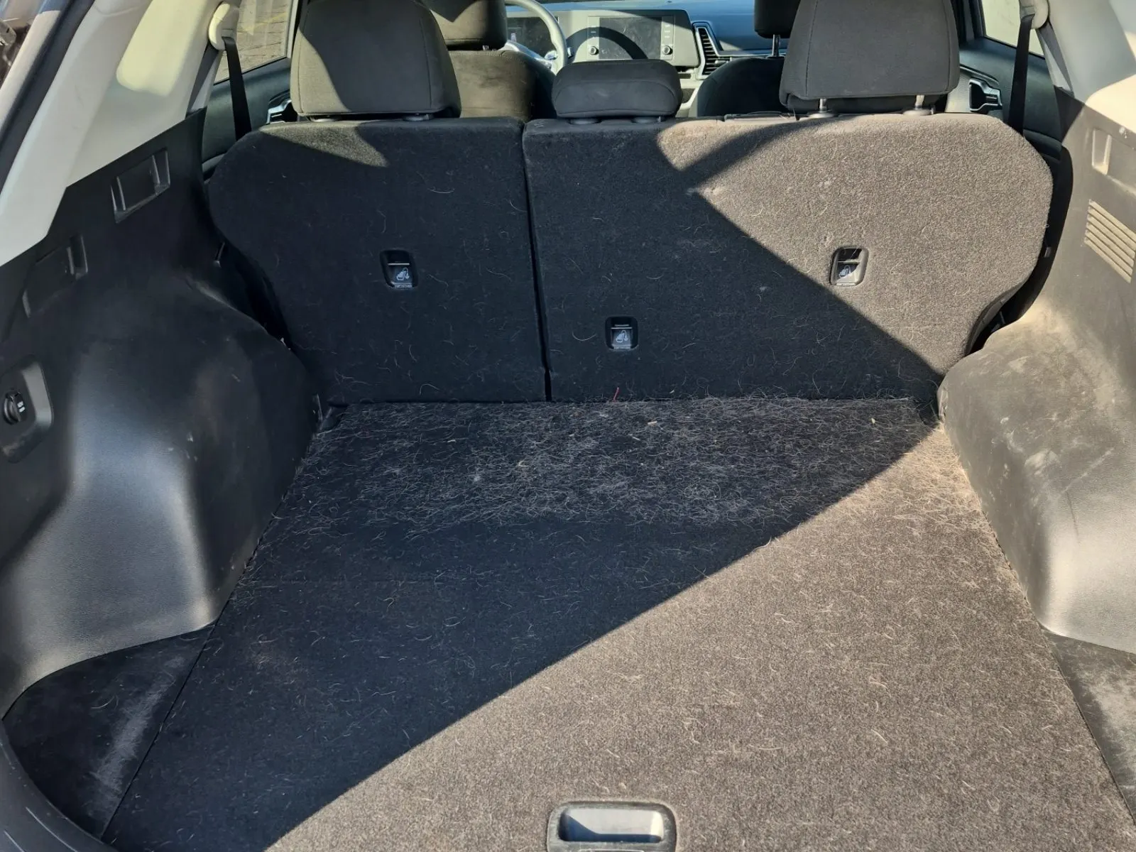 Cargo Area Photo