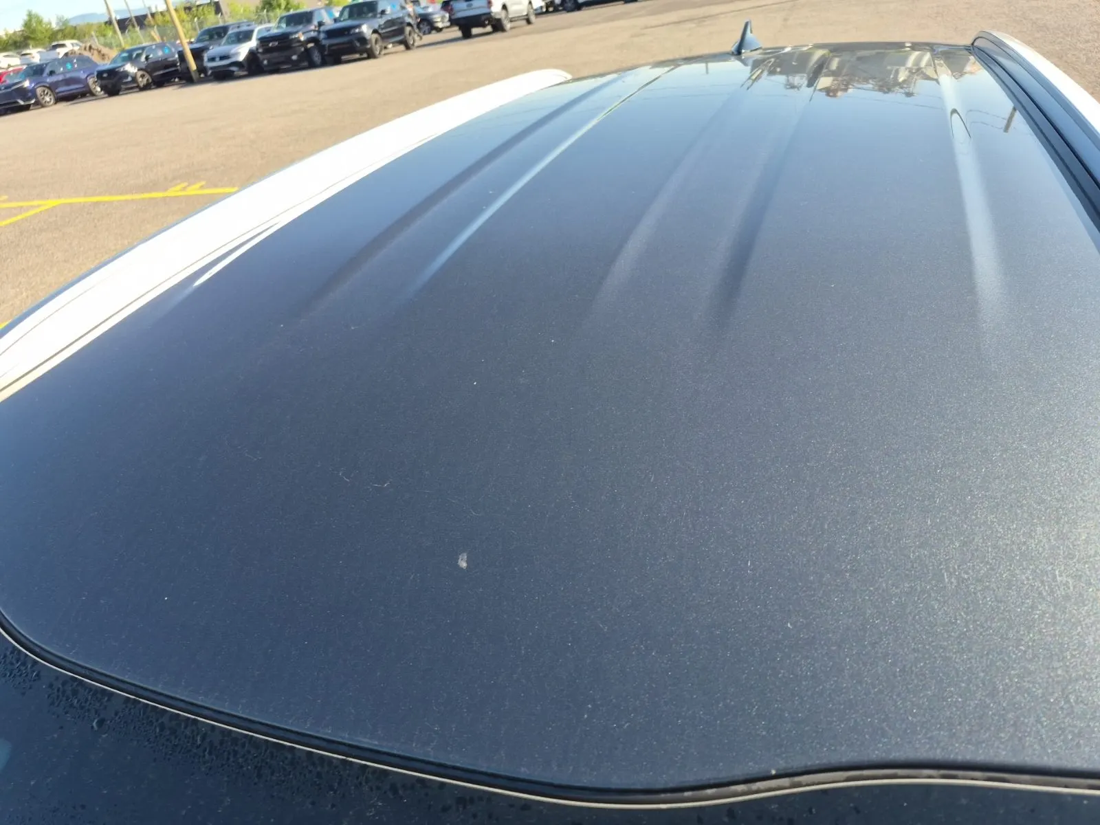 Exterior Roof Photo