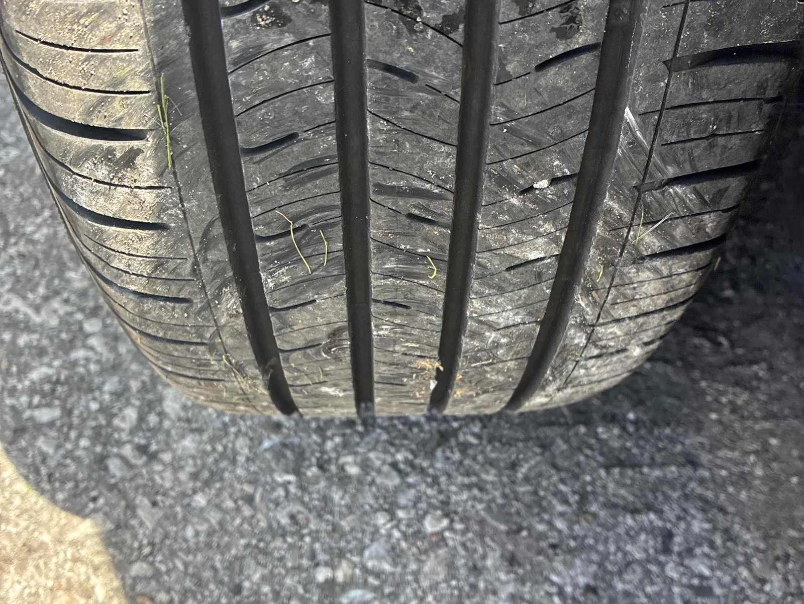Additional Photo