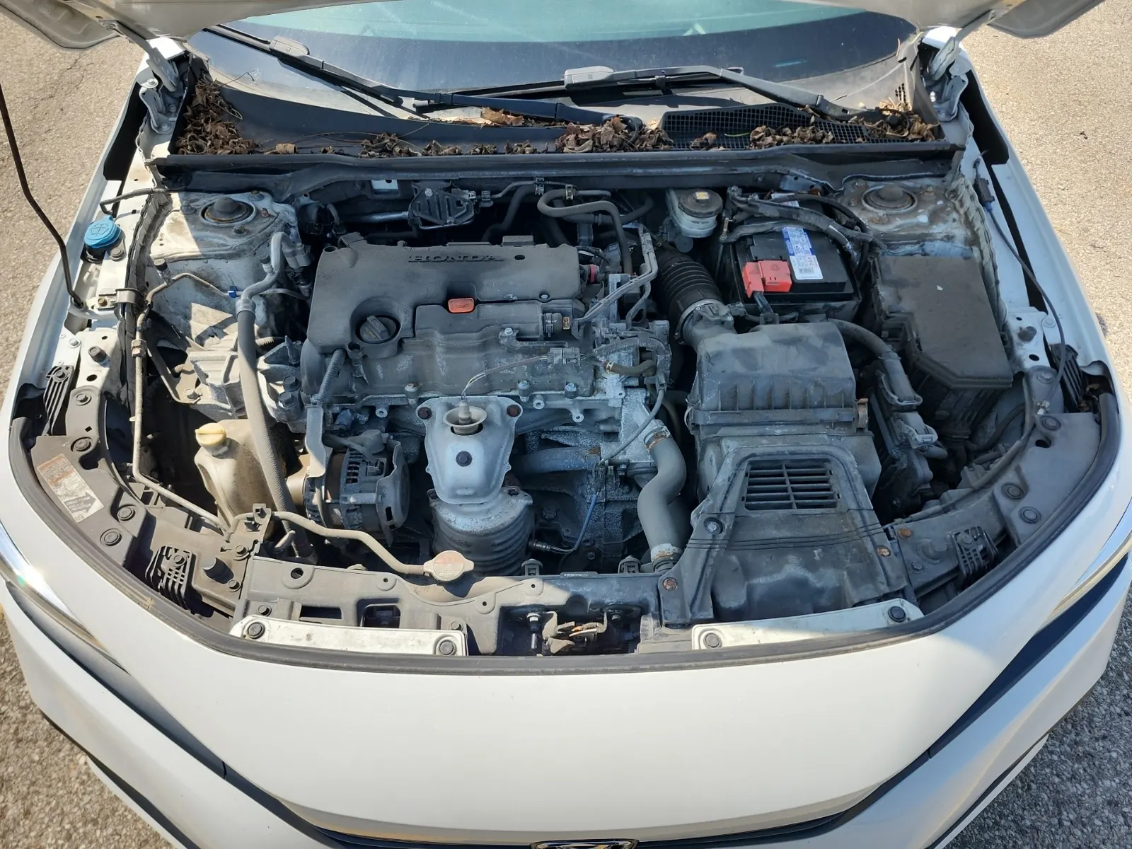 Engine Photo