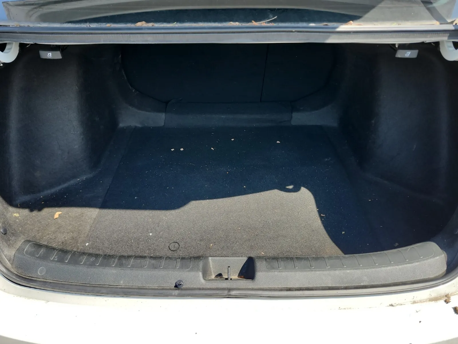 Cargo Area Photo