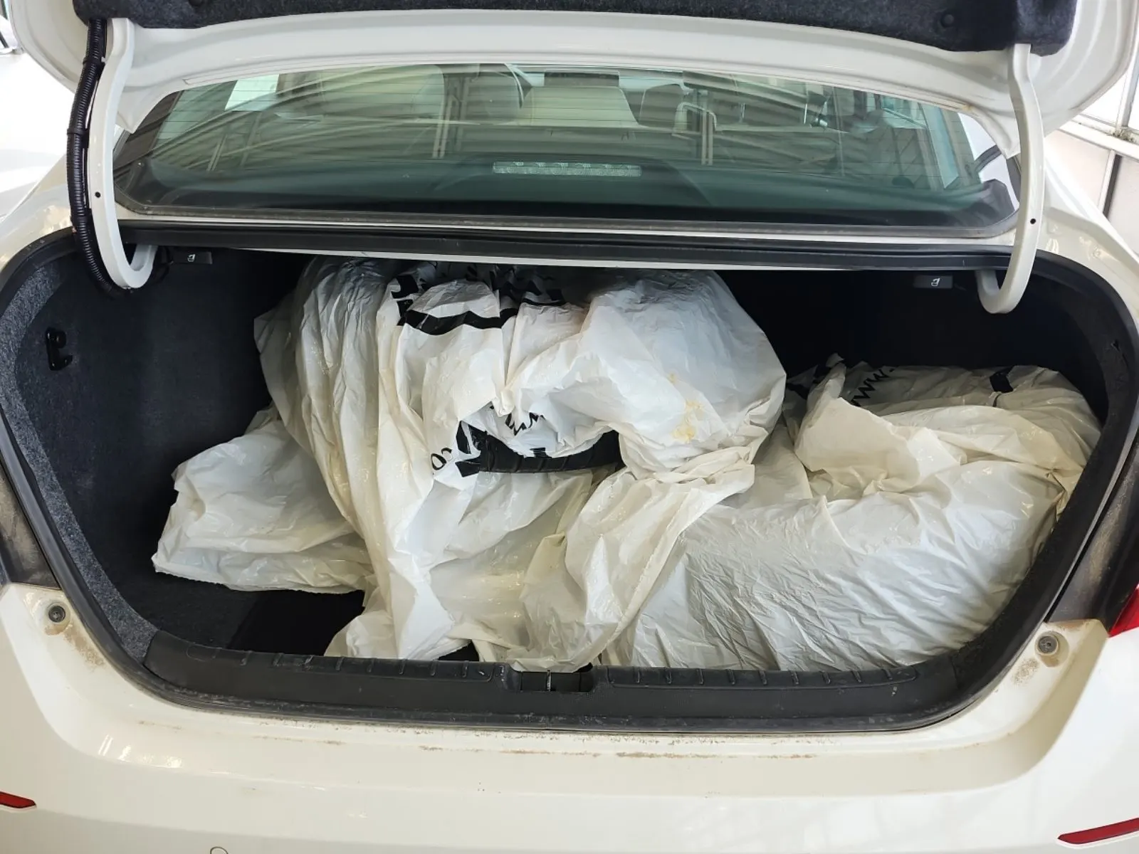 Cargo Area Photo