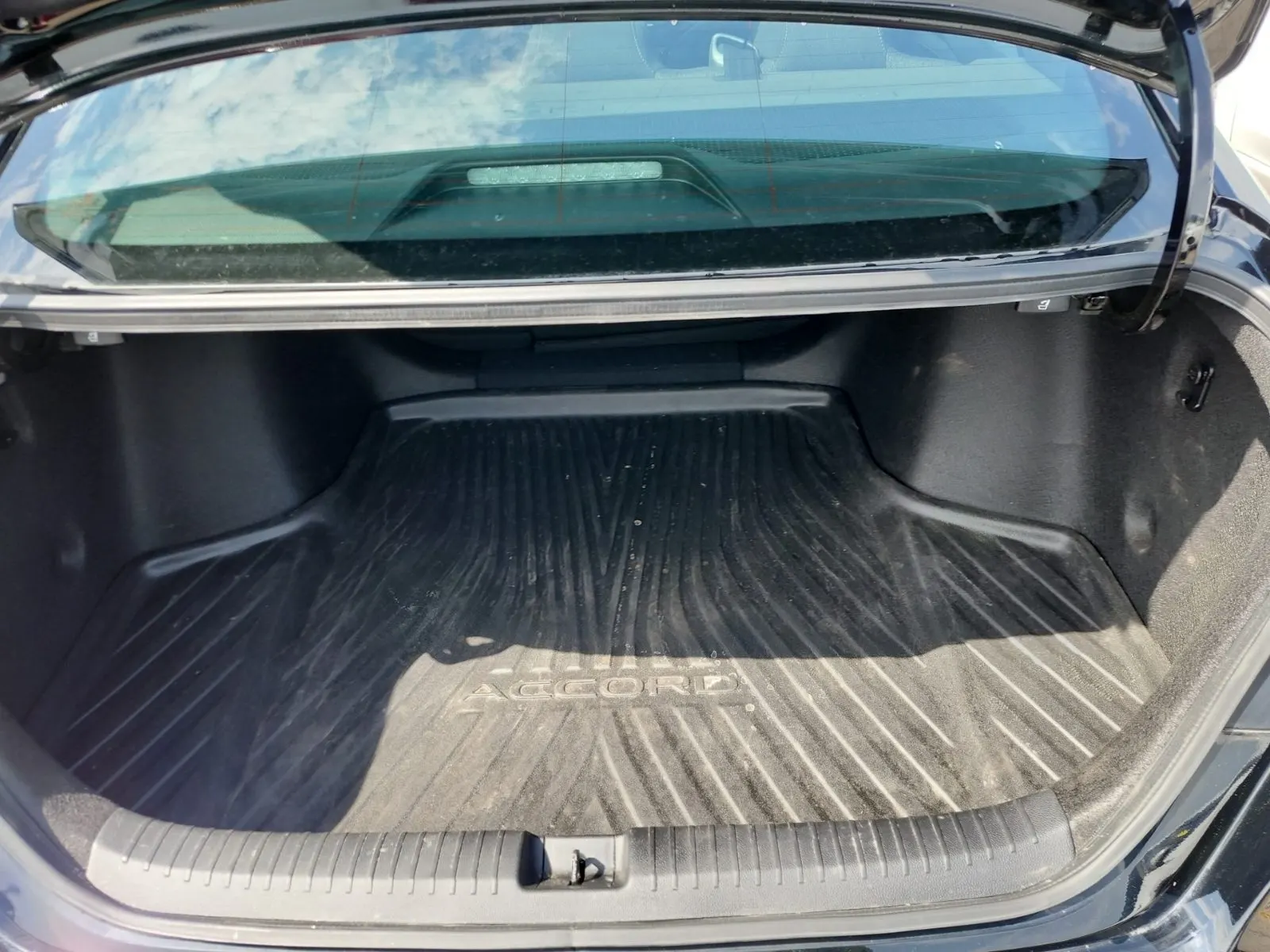 Cargo Area Photo