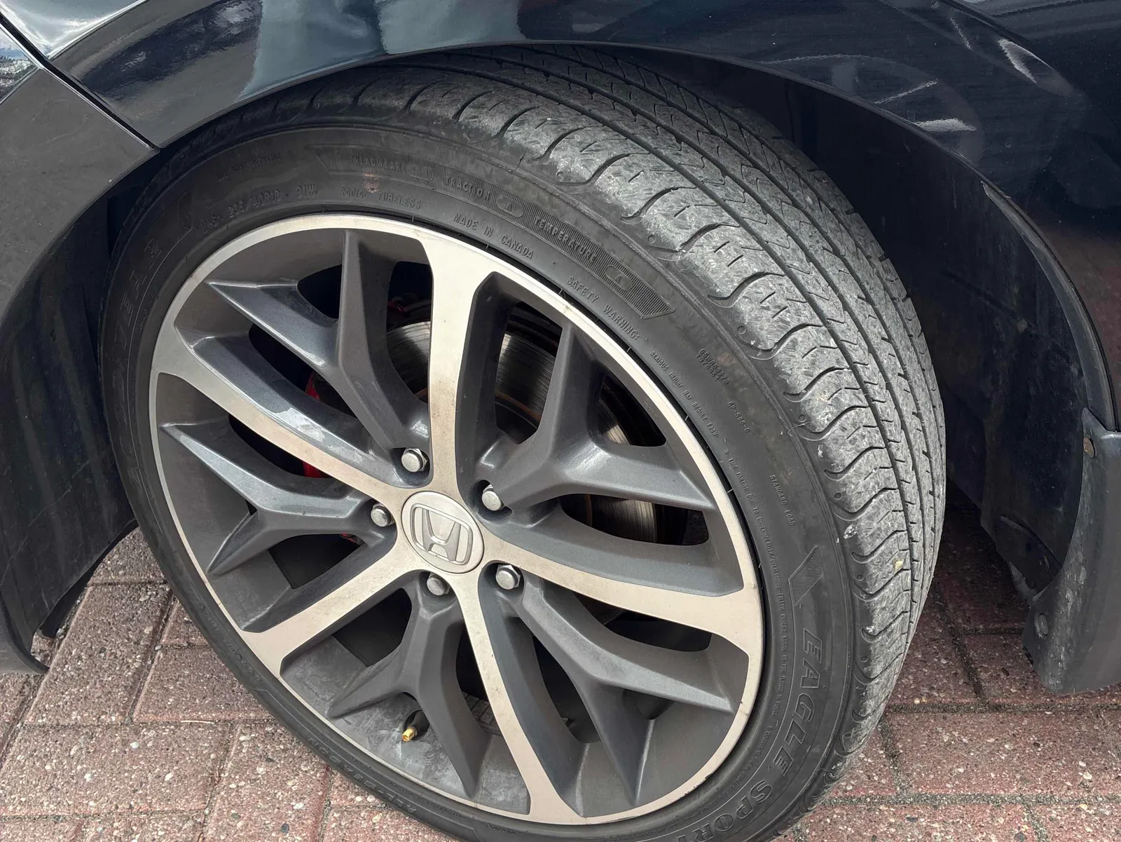 Tire