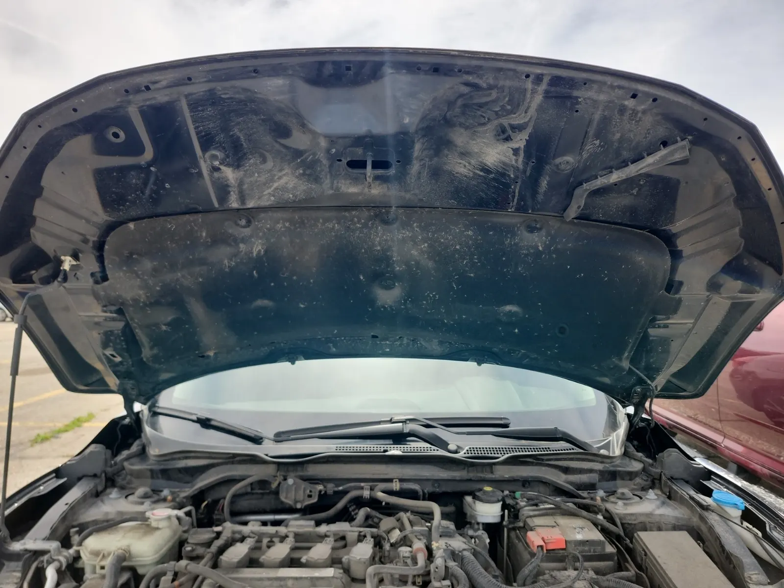 Emission Sticker Photo