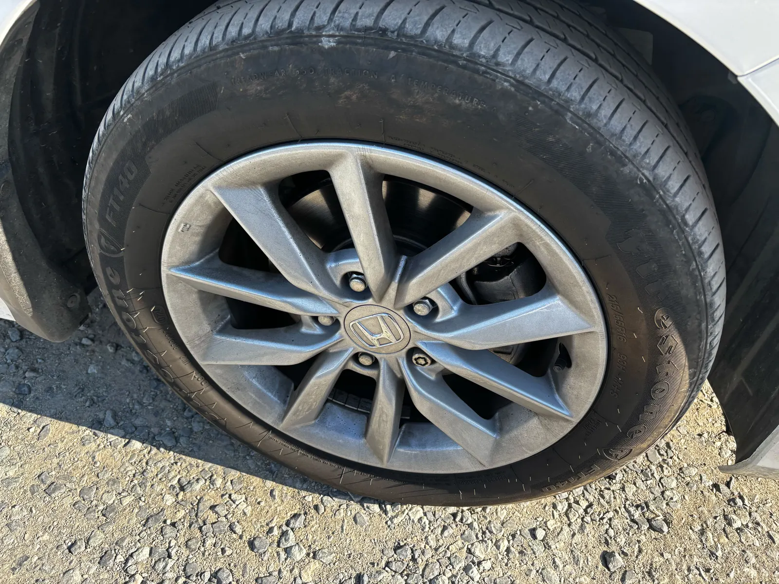 Additional Photo