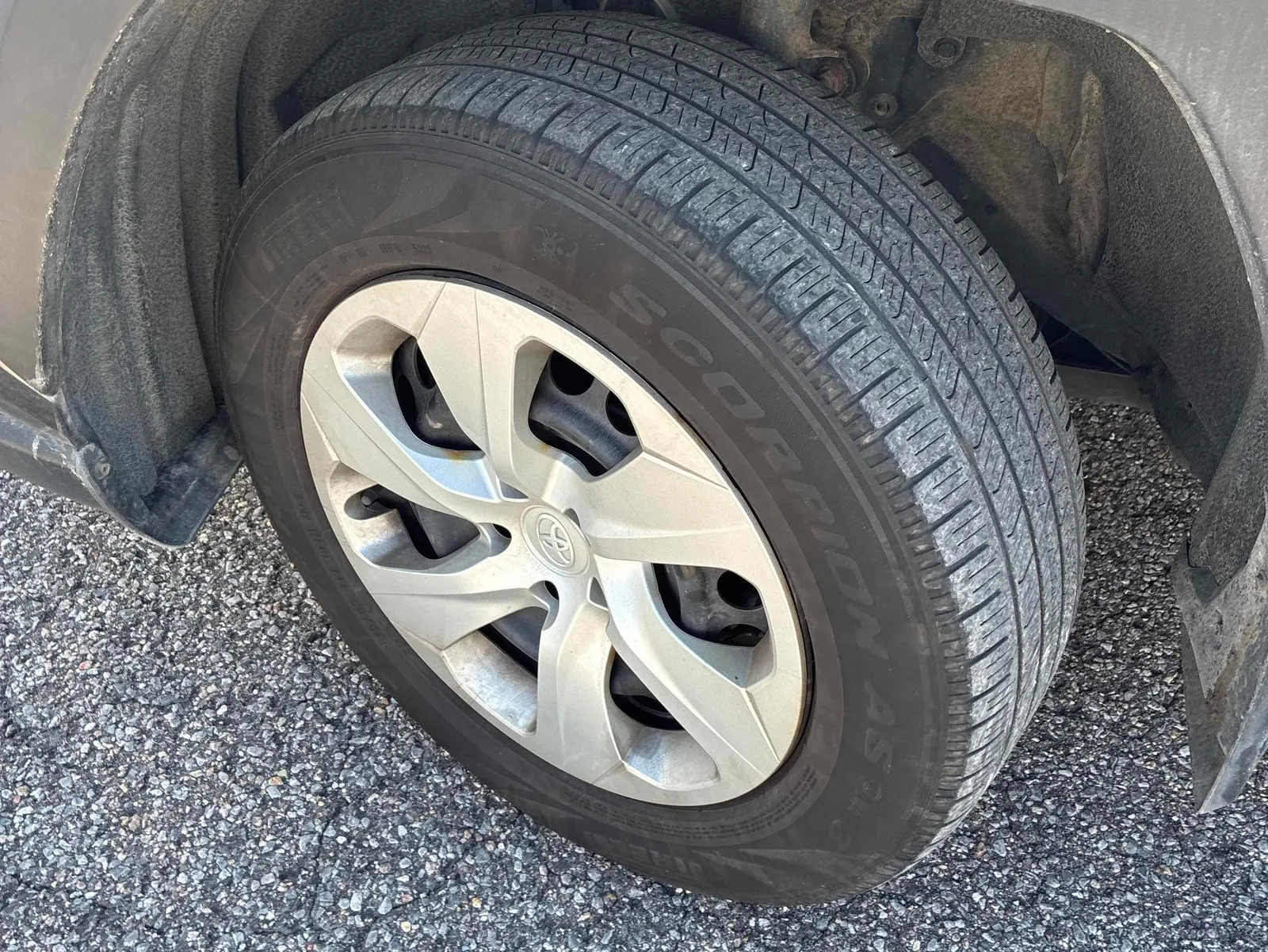 Tire